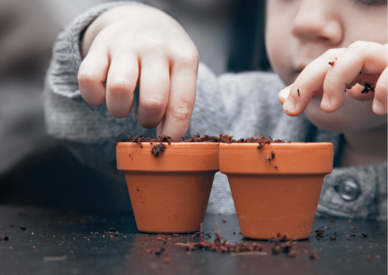 Kinder pflanzen Samenbomben