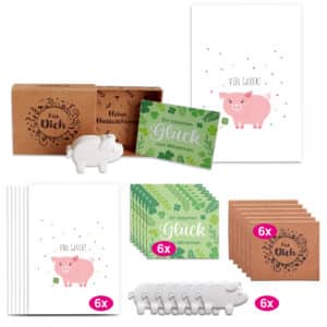 6x "Glücksschweinchen" Wunschboten + Karten