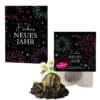 10x "Silvester" Klee-Samenbomben + Geschenkkarten